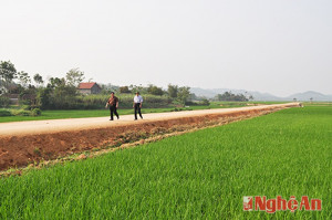 Công nhận xã Nghĩa Đồng (Tân Kỳ) đạt chuẩn nông thôn mới
